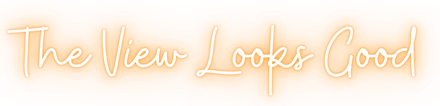 Glowing cursive text reading “The View Looks Good” in light orange on a transparent background.