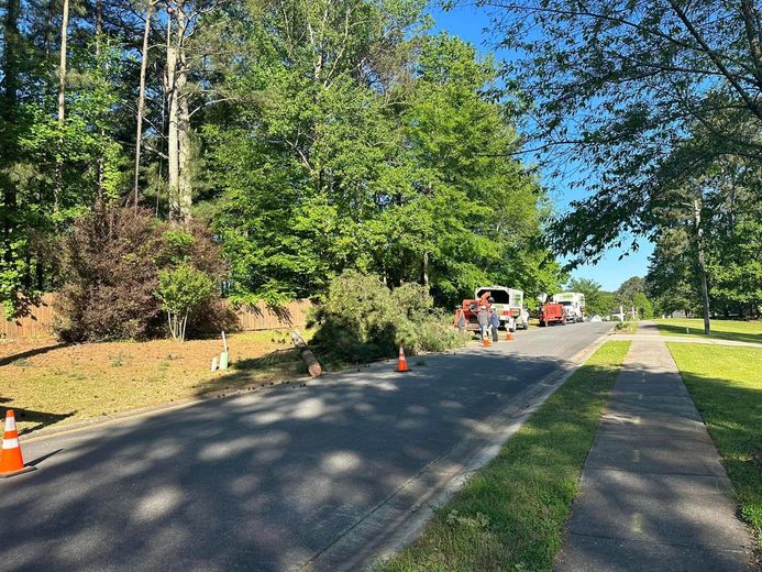 A group of people are standing on the side of a road next to a tree.