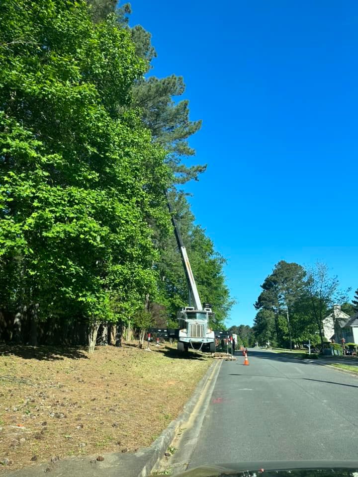 A crane is cutting trees on the side of the road.