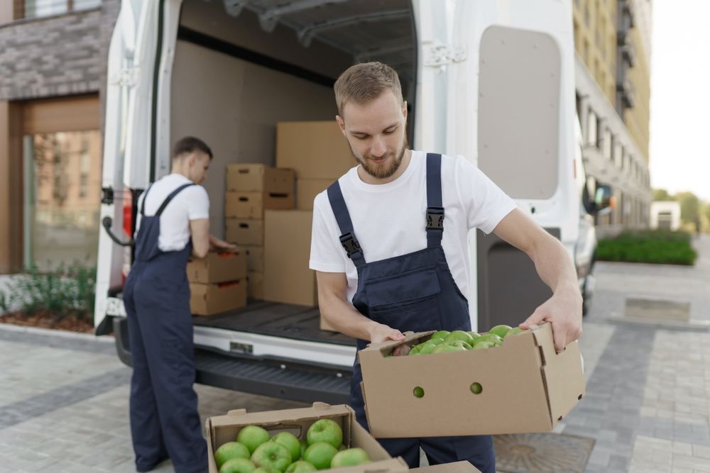 Two workers loading cardboard boxes of green apples from a delivery truck