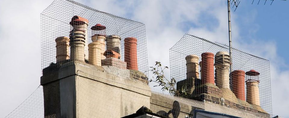 bird guard for chimneys