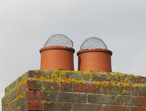 2 chimneys bird guarded