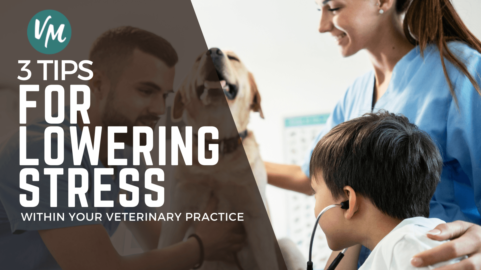 Lowering Stress in Veterinary Practice