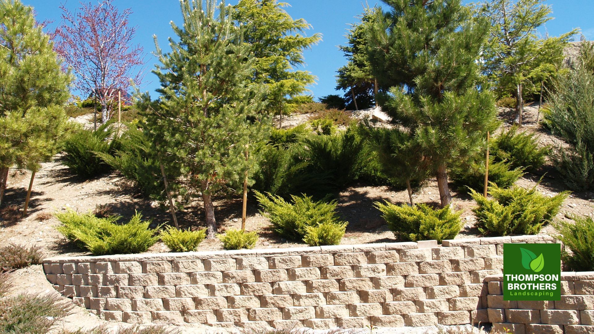 Retaining Wall Installation Near Me: Trusted Professionals in Chattanooga