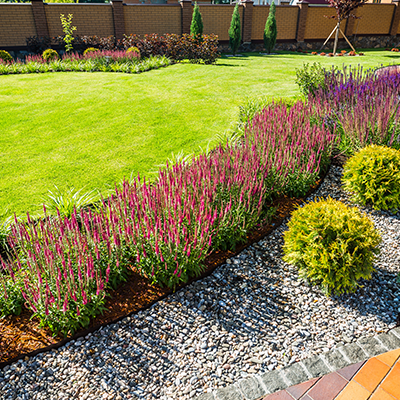 A lush green lawn with purple flowers and bushes in a garden.