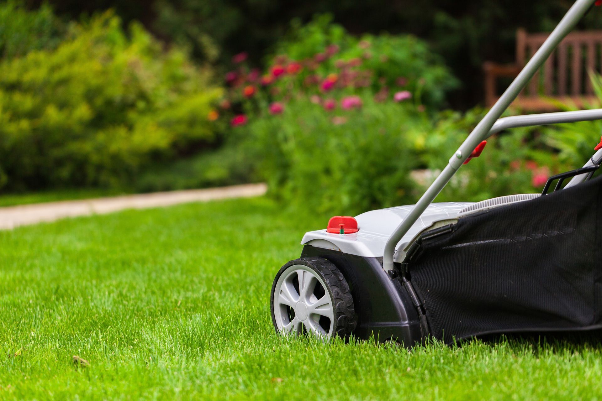 A lawn mower is cutting a lush green lawn.