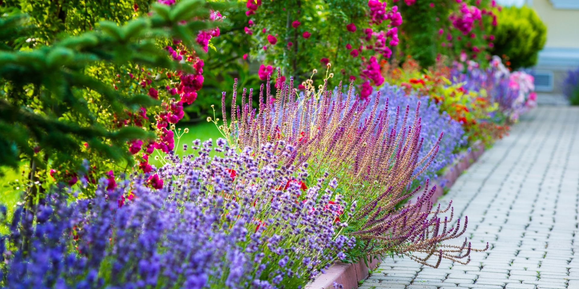 A row of colorful flowers along a sidewalk in a garden.