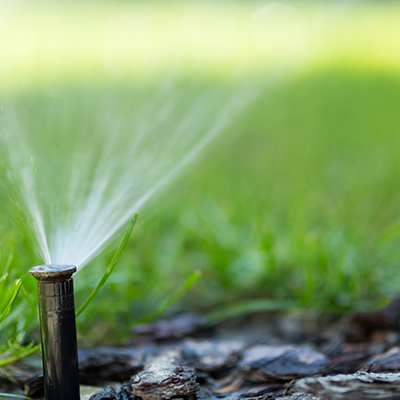 A close up of a sprinkler spraying water on a lawn.