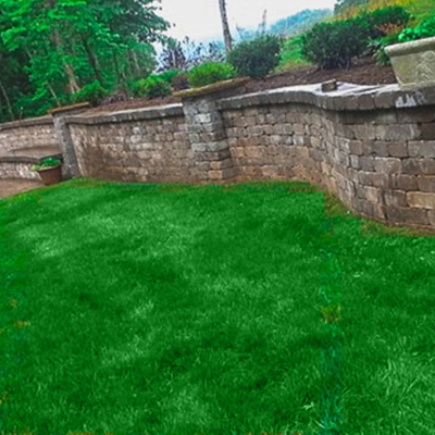 A lush green lawn with a brick wall in the background.