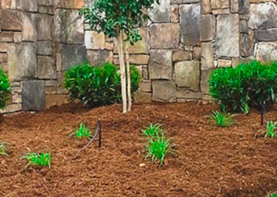 A stone wall with trees and bushes in front of it.