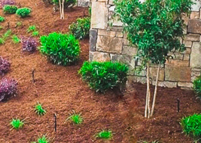 A lush green garden with trees and bushes in front of a stone wall.