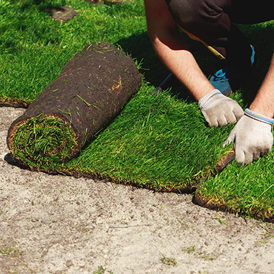 A person is laying a roll of grass on the ground.