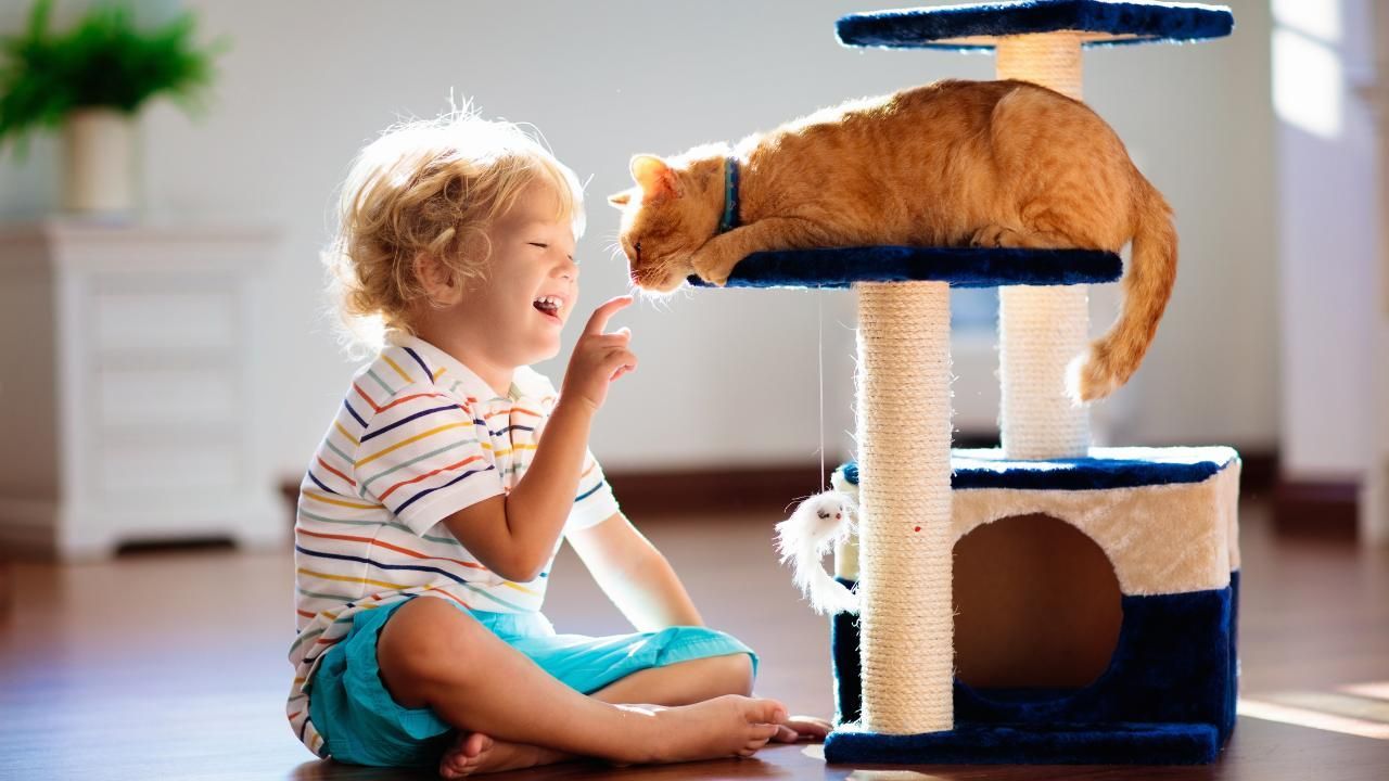 safe painting at home