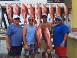 A group of men are standing next to each other holding large fish.