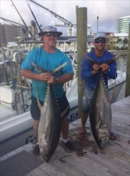Two men are standing on a dock holding large fish.