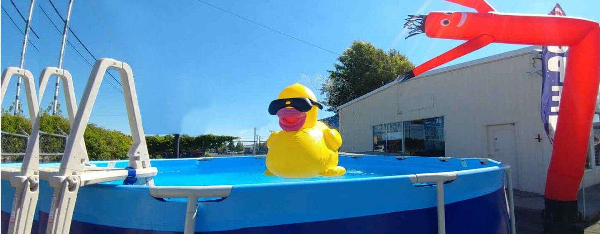 Pool With Duck — Klamath Falls, OR — Orley's of Klamath Falls Stove and Spas
