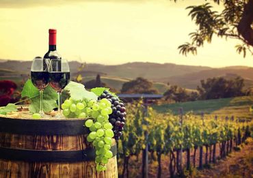 A bottle of wine and a glass of wine are on a wooden barrel in a vineyard in Ronda.