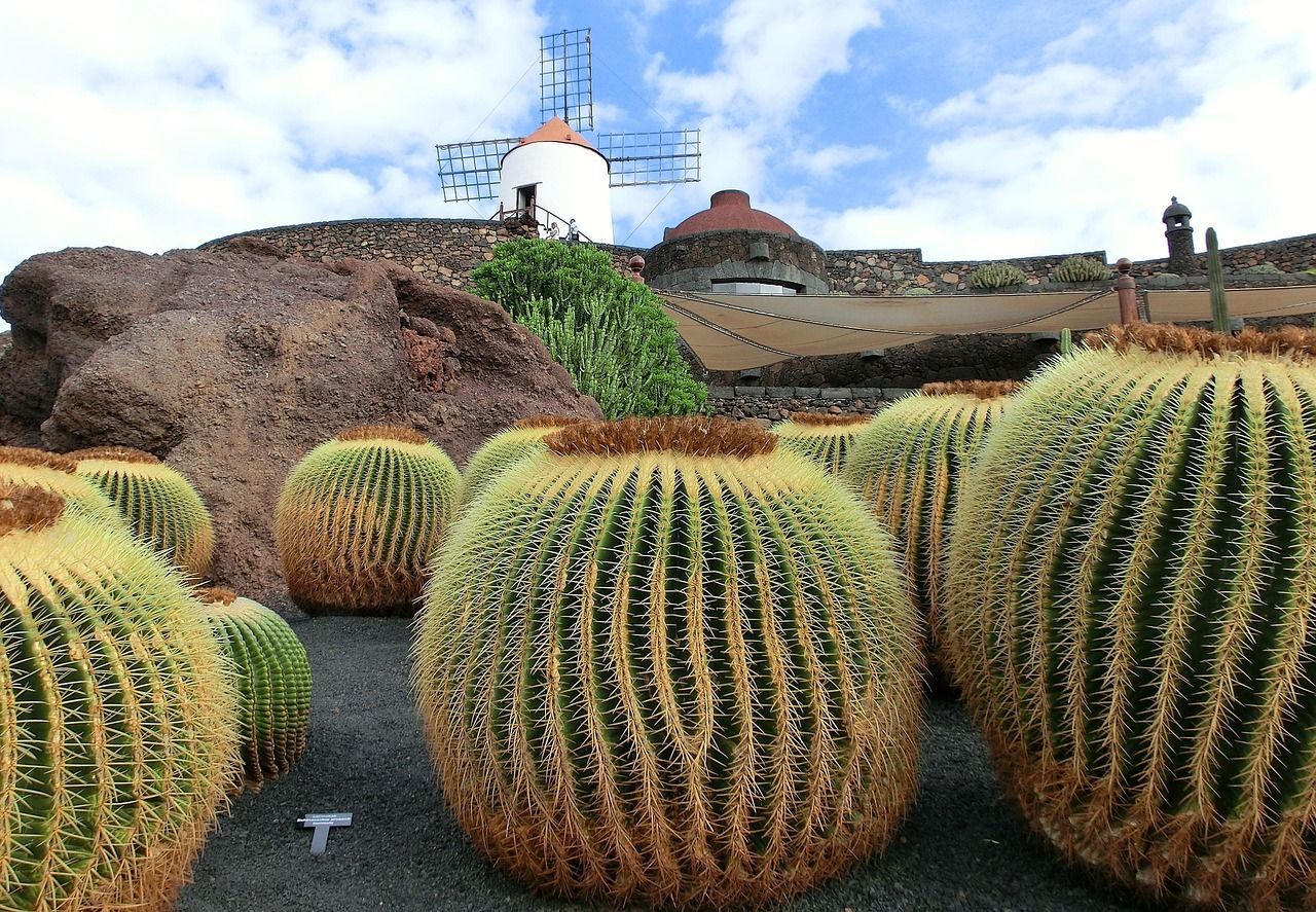 View of Timafaya park lanzarote