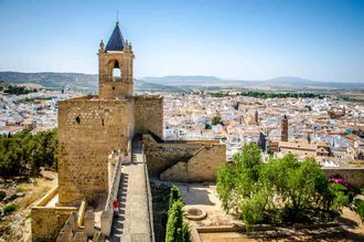 A castle in Antequera is sitting on top of a hill surrounded by trees.