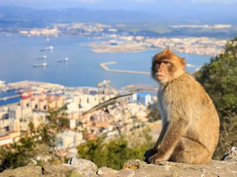Gibraltar private day trips from Seville
