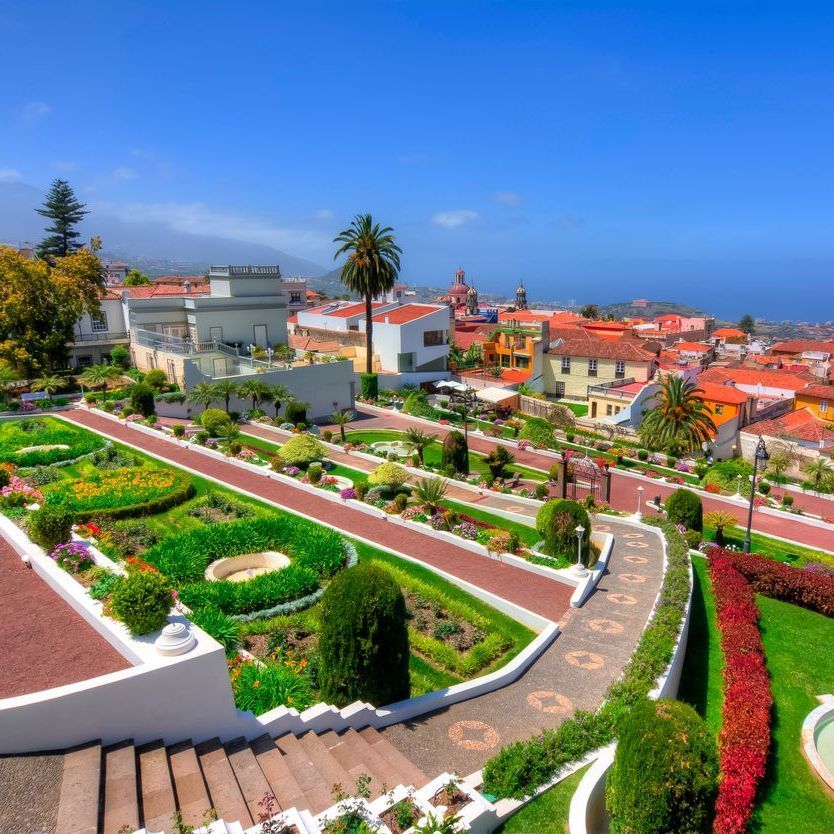 An aerial view of a garden with stairs leading up to it