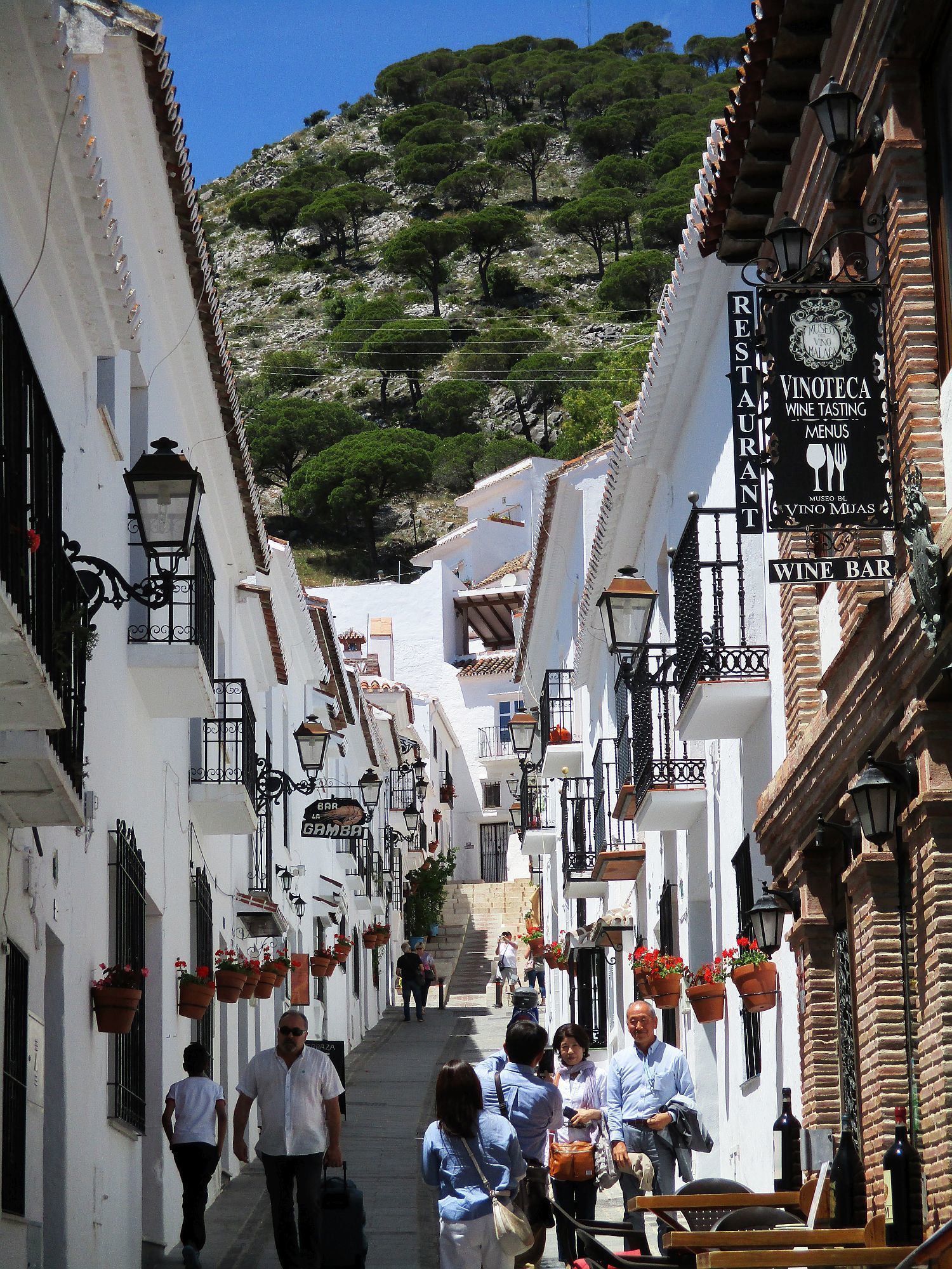 Mijas private day trips from Malaga