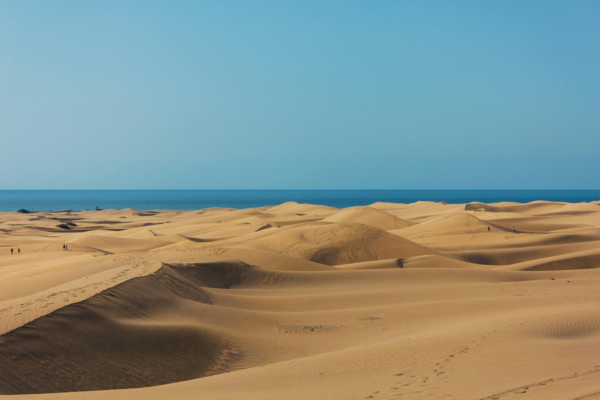 Las dunas de Maspalomas Gran Canaria