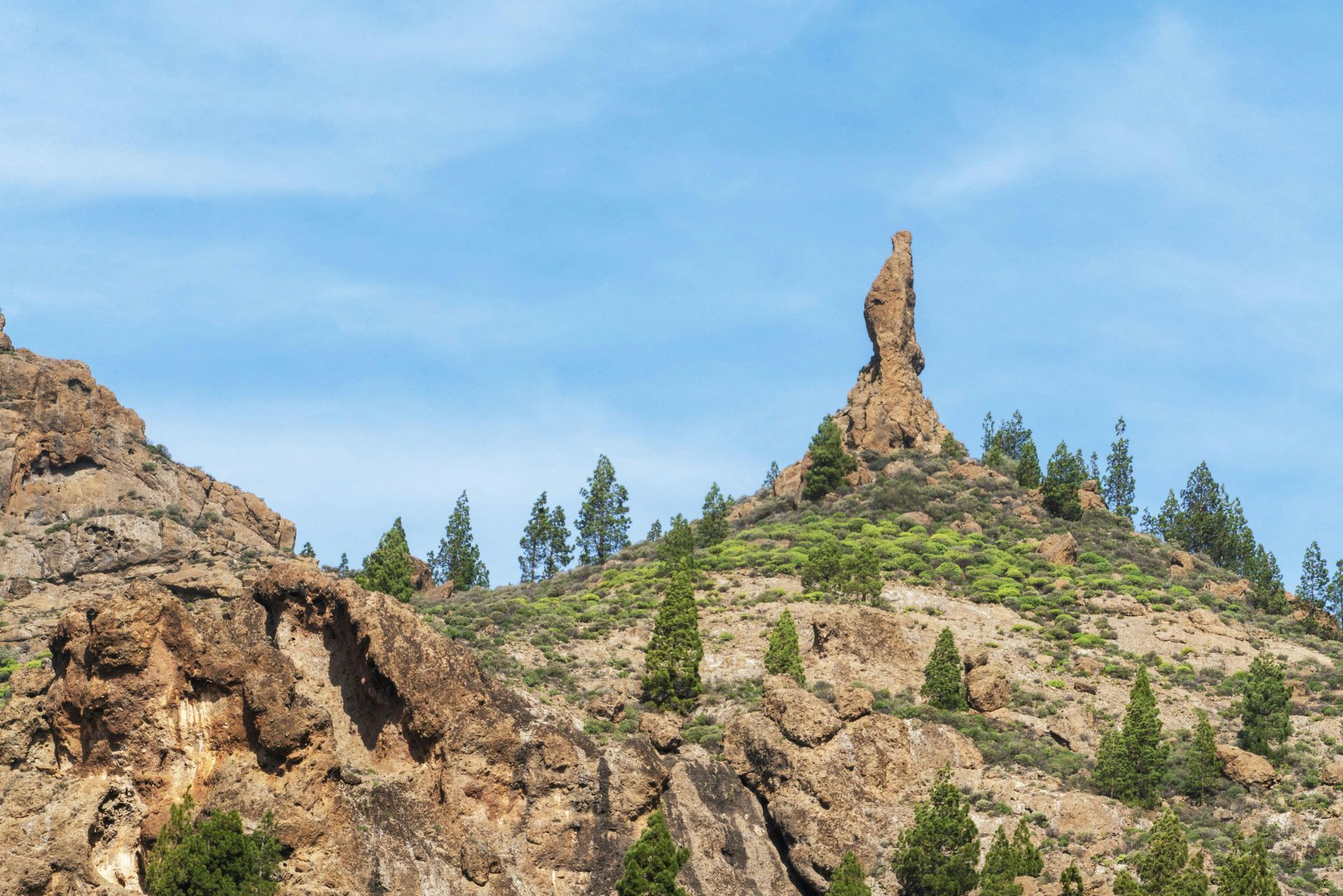 A landscape with a lot of rocks and trees in Gran Canaria