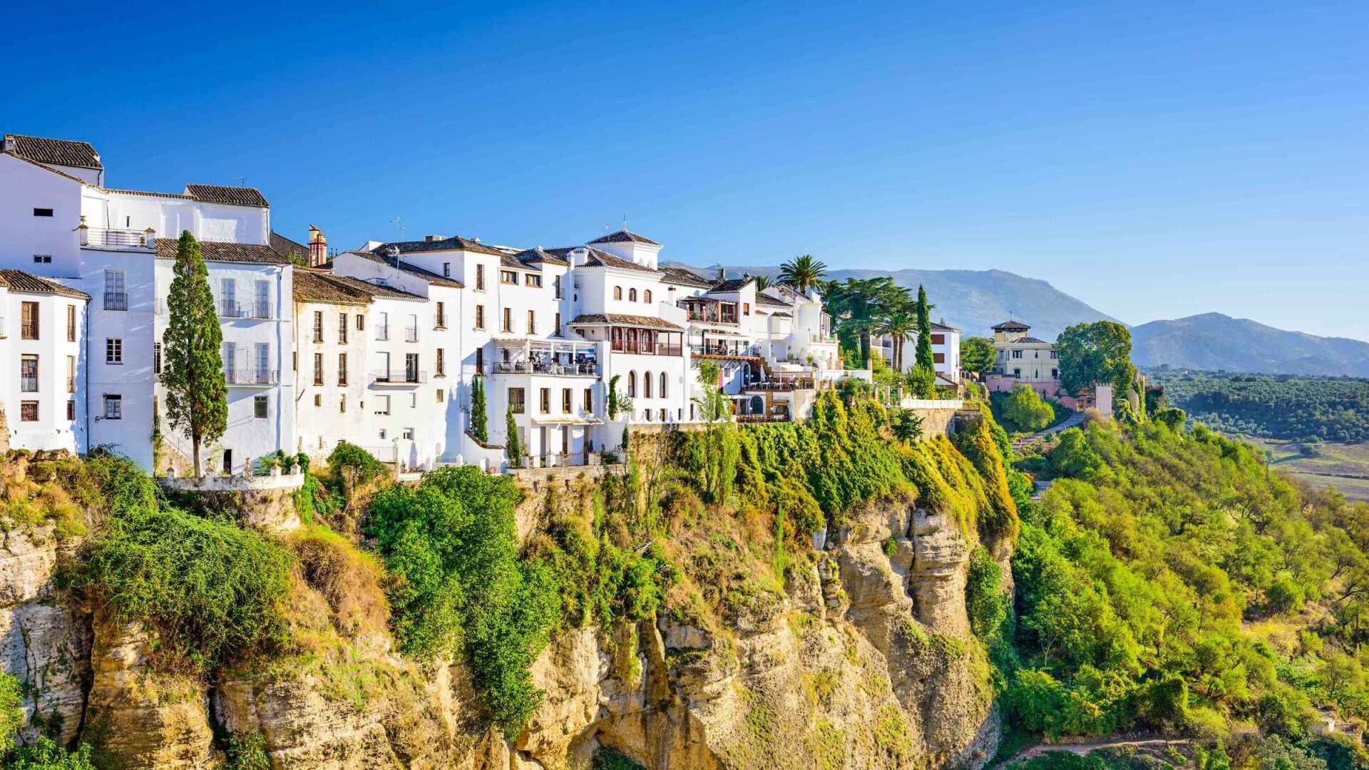 wine day trips from Malaga