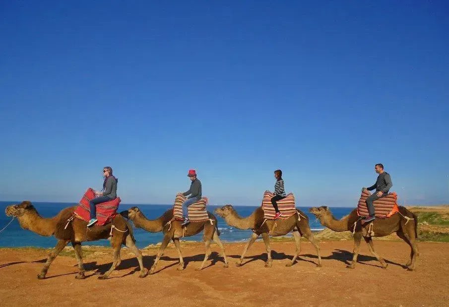 A group of people are riding camels in a row in tangiers.
