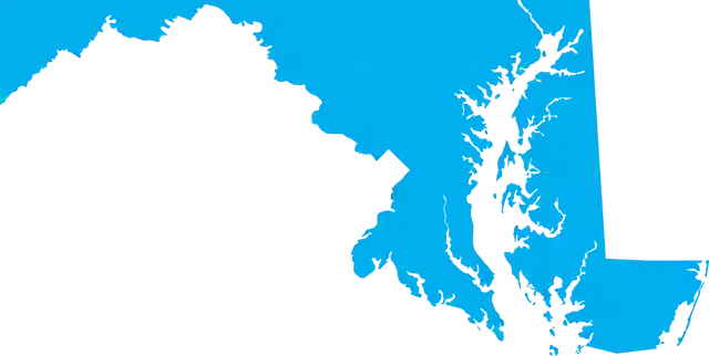 An image of blue and white color