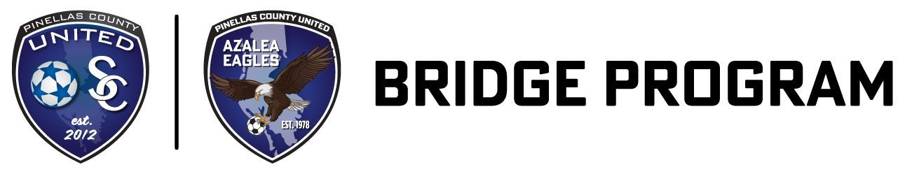 Bridge Program PCU AYSL Bridge Program