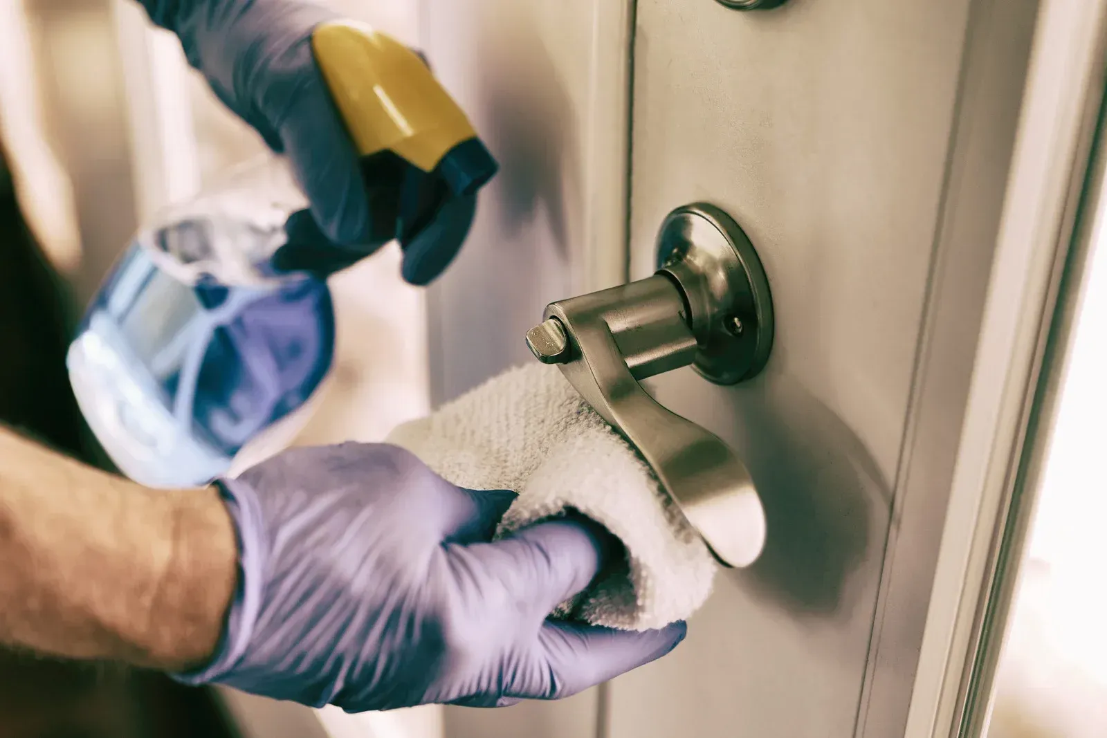 Person in purple gloves sanitizes a silver door handle with a spray bottle and cloth.