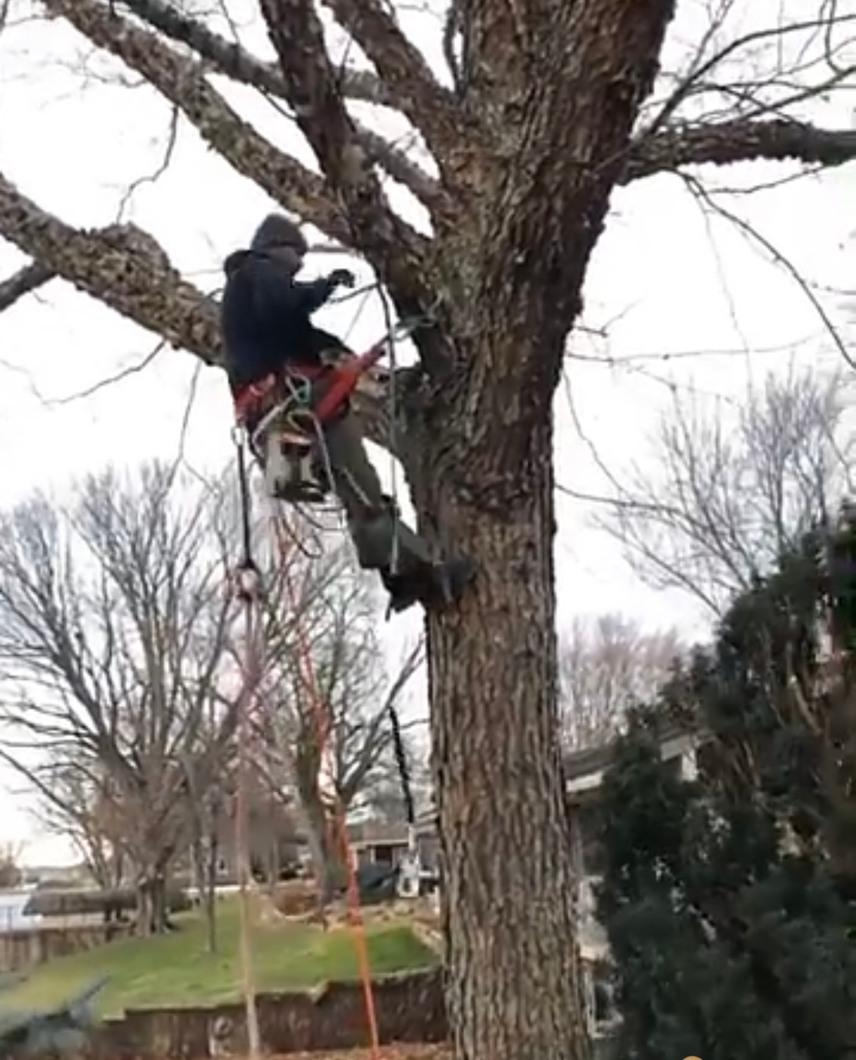 A man is sitting in a tree with a chainsaw.