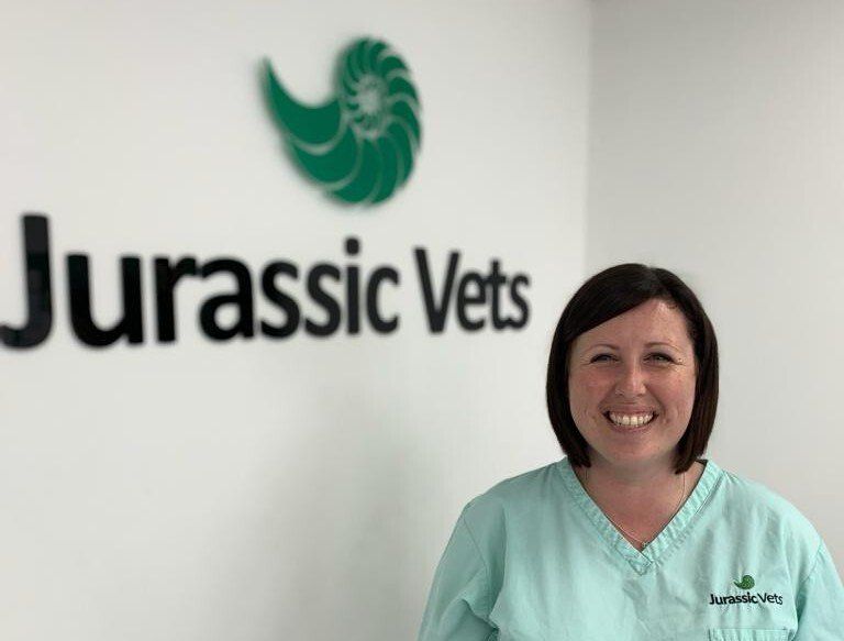 Meet the Team Vets in Sidmouth Jurassic Vets Vets in Colyton