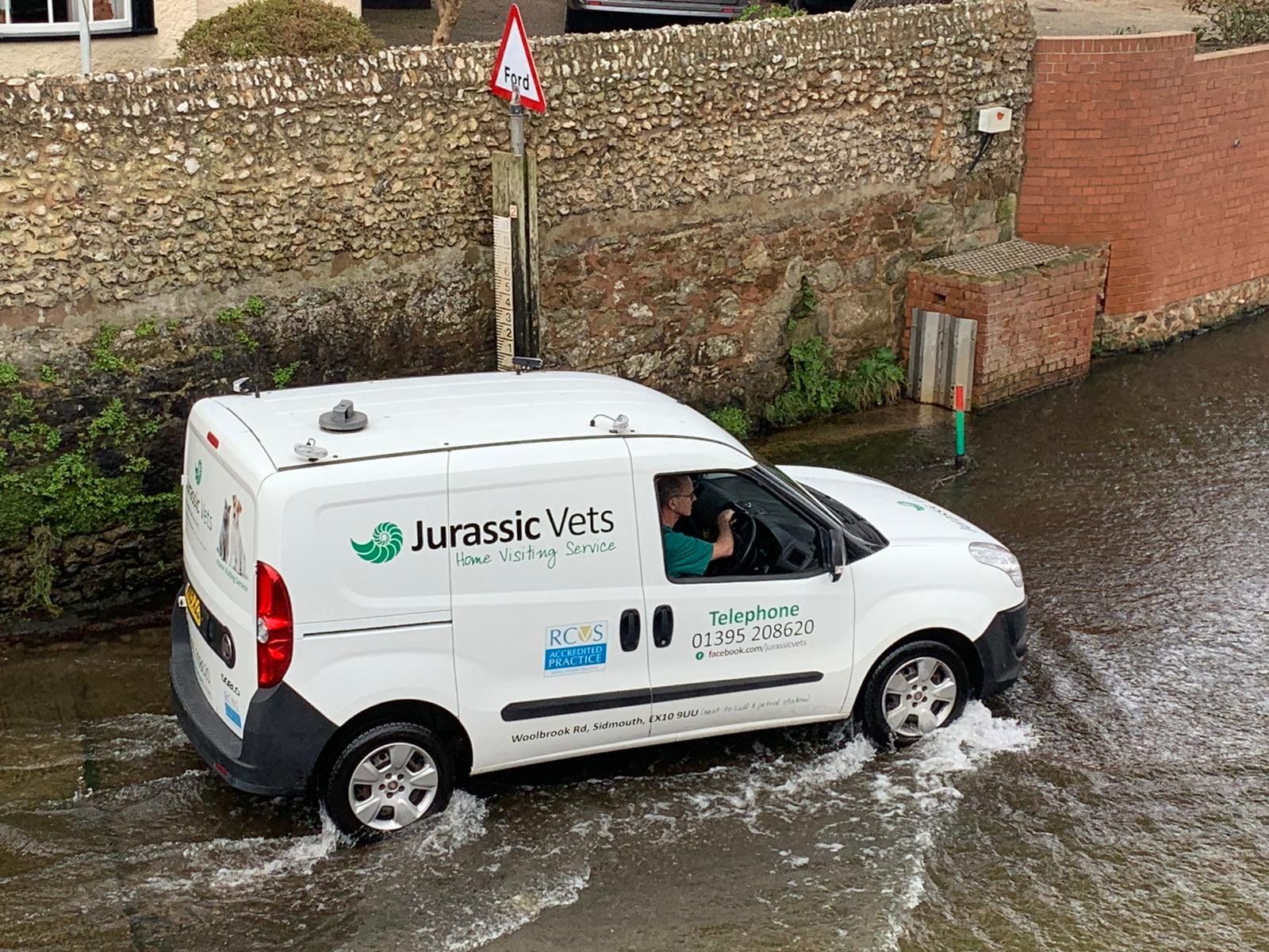 Our Pet Services Vets in Sidmouth Jurassic Vets