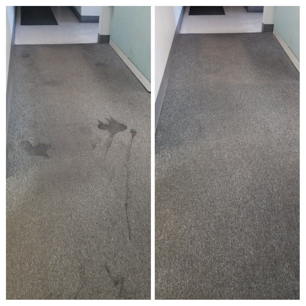 Before carpet cleaning
