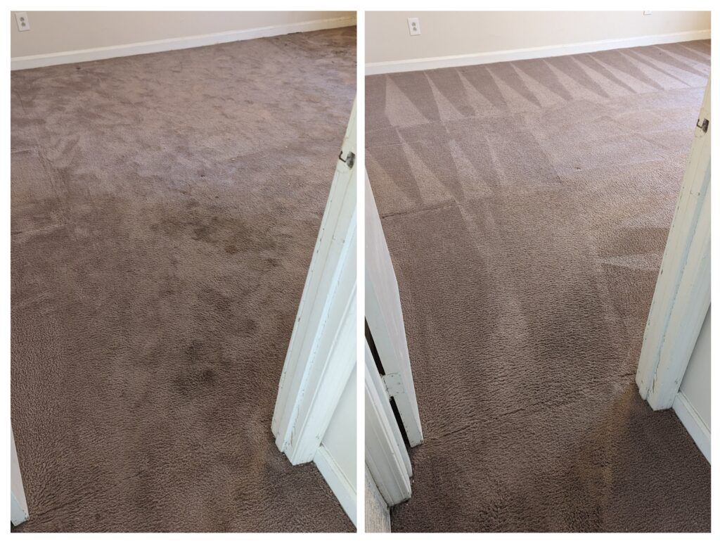 Before carpet cleaning services