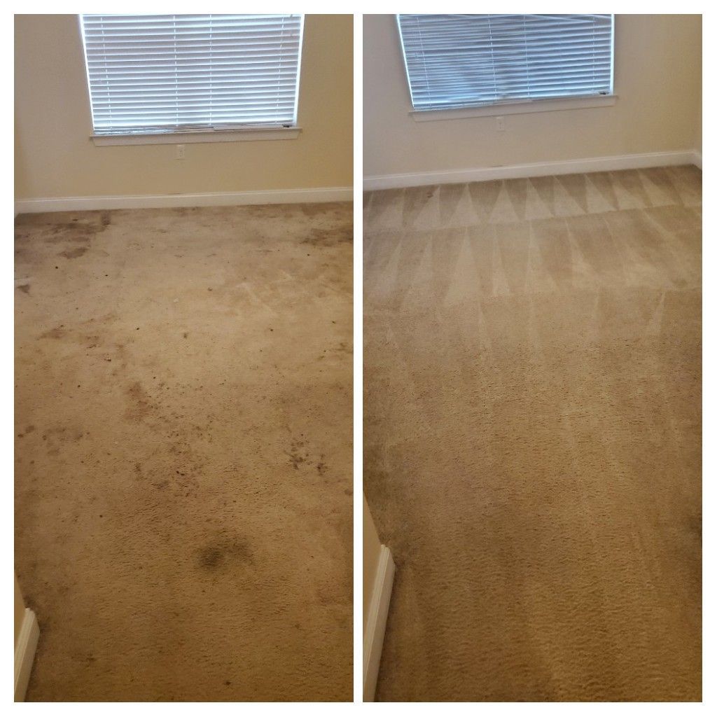 Before professional carpet cleaning services