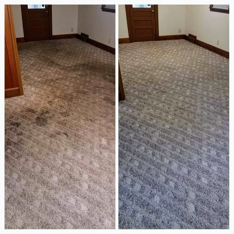 Before expert carpet cleaning services
