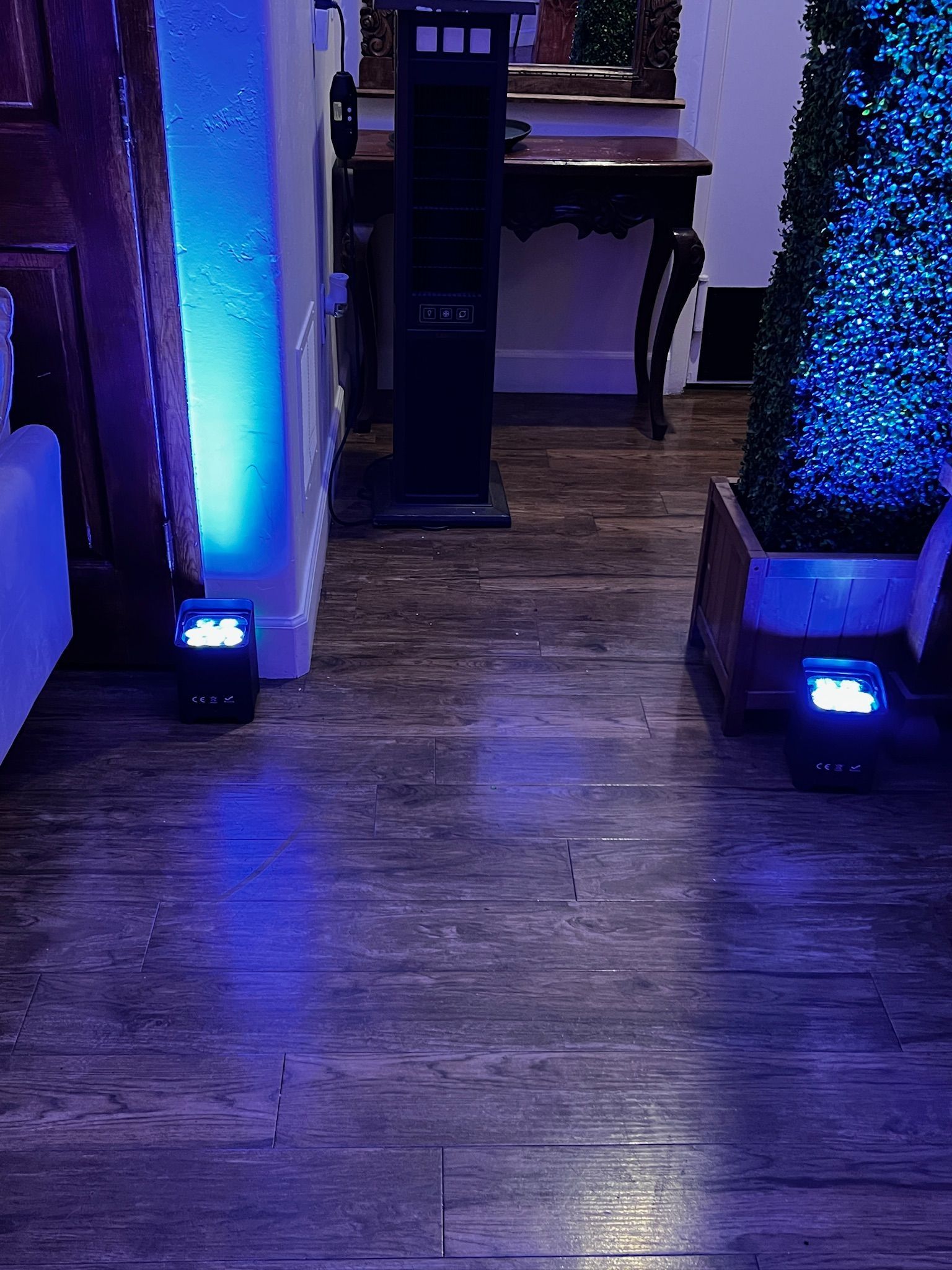 A dark, wooden-floored hallway illuminated with blue lights. Two spotlights shine blue, lighting a decorative hedge and wall.
