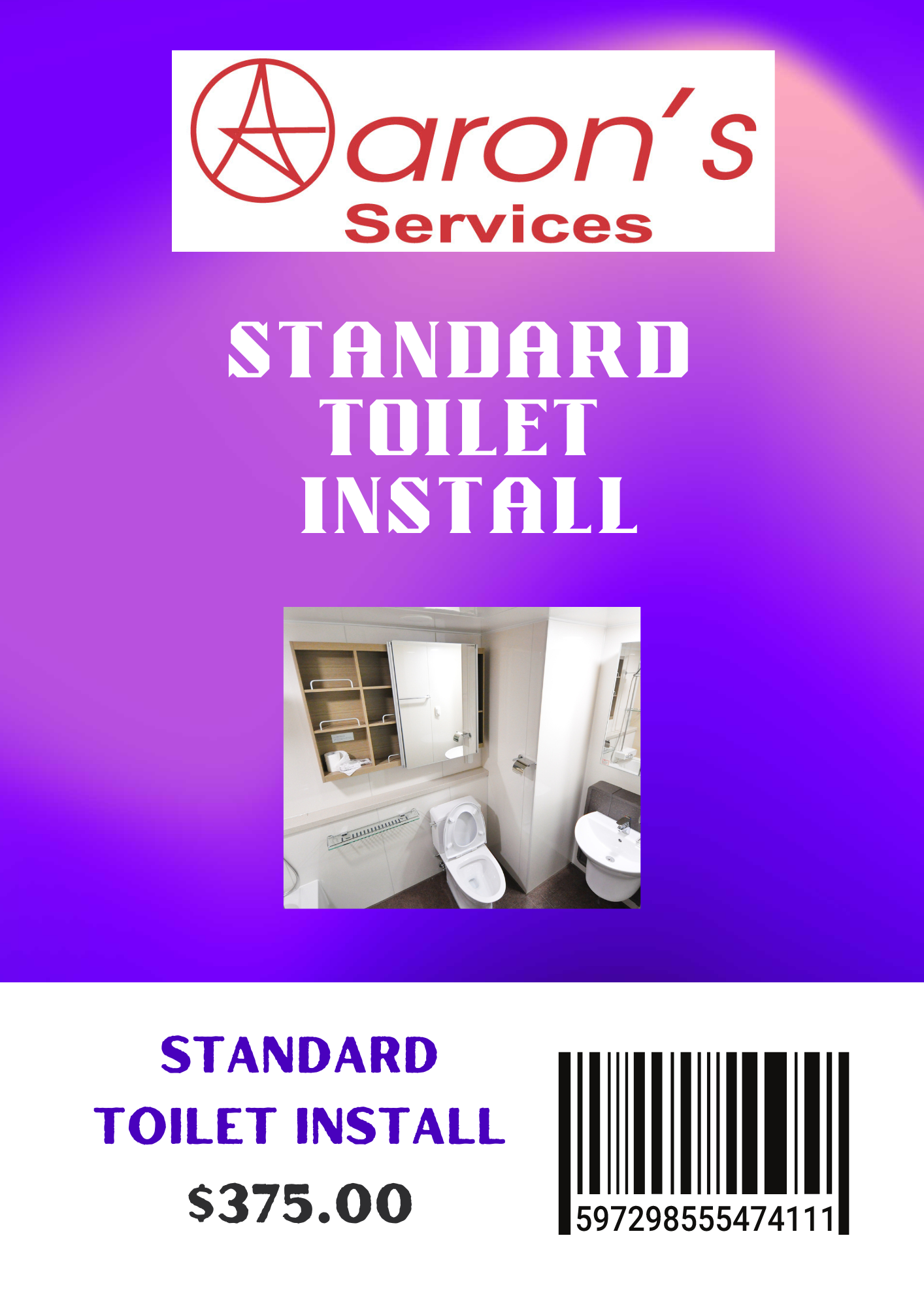 Standard Toilet Install Special