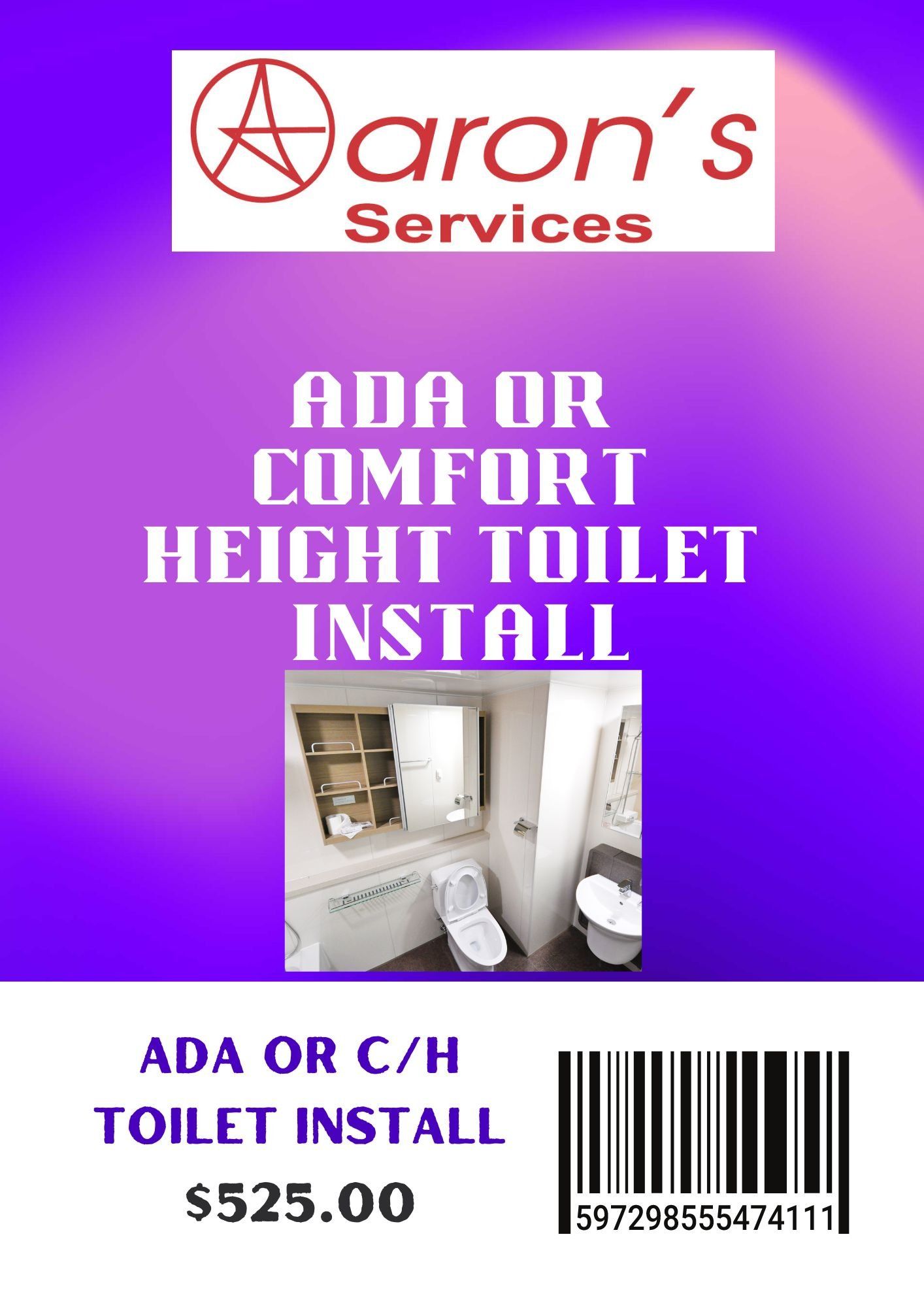 ADA Toilet Install Special