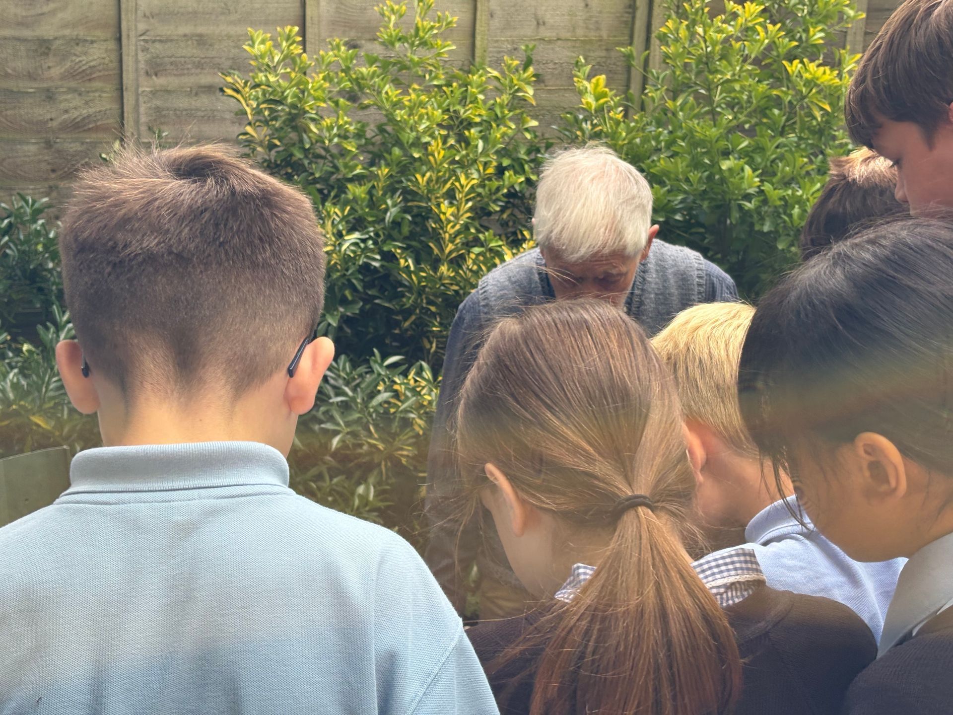 Children and an adult looking at something in a garden.