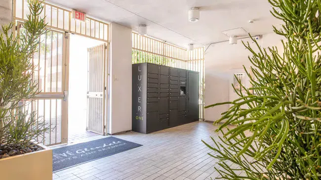 Apartment lobby with mail lockers, door, and potted plants. Light-filled space with a welcome mat.