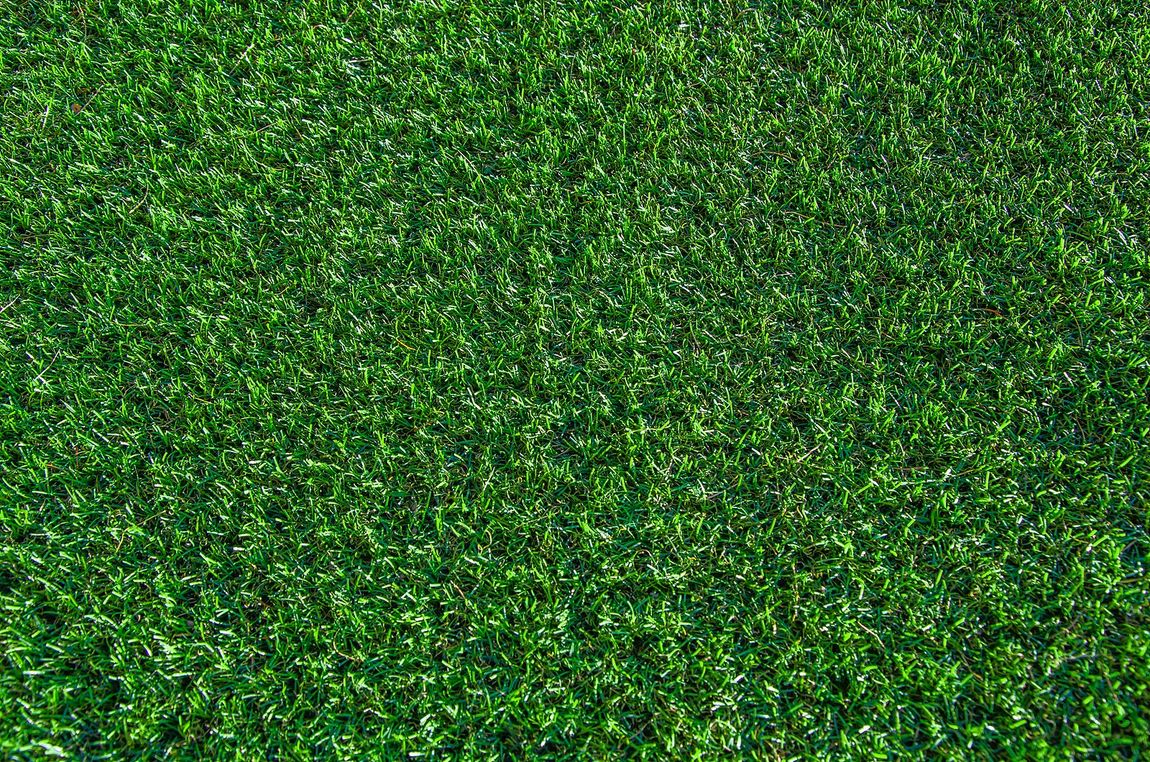 A close up of a lush green field of grass.