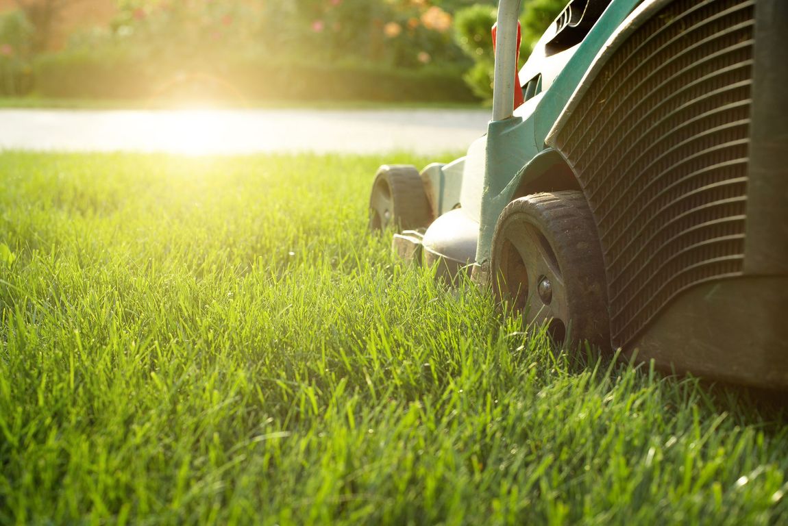 A person is mowing a lush green lawn with a lawn mower.