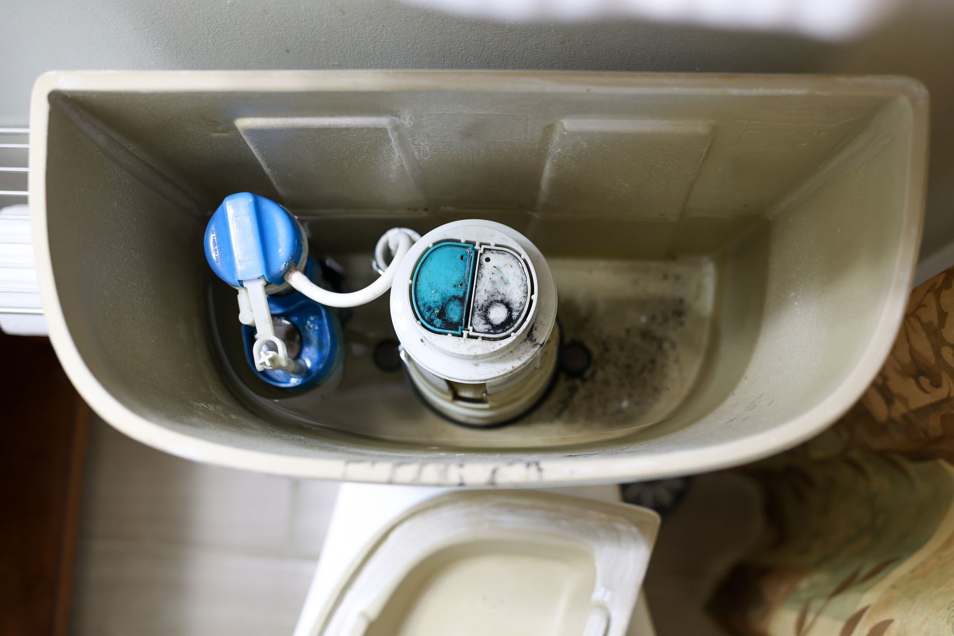 Inside view of a toilet tank with a blue and white fill valve, and a flapper valve.
