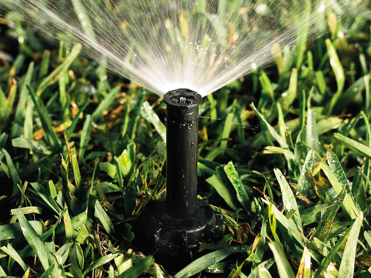 A sprinkler is spraying water on a lush green lawn.