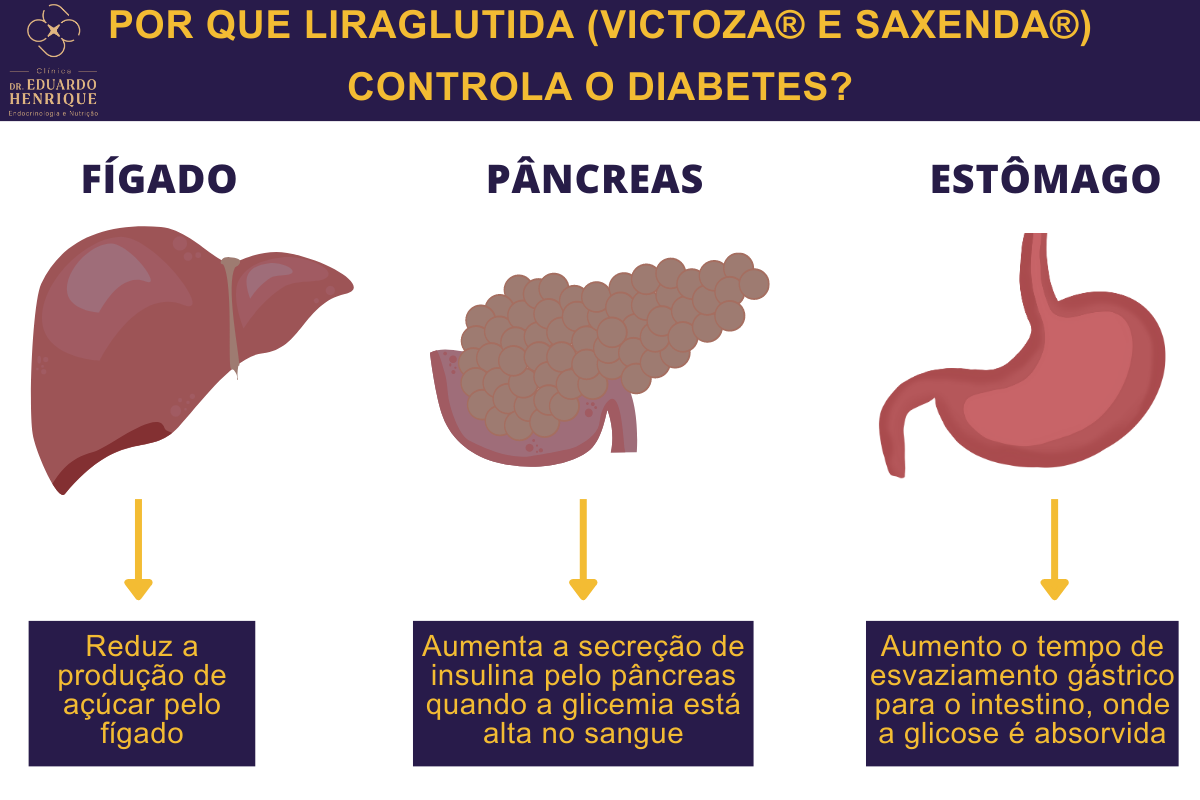 liraglutida-diabetes-dr-eduardo-henrique-endocrinologista-sao-paulo